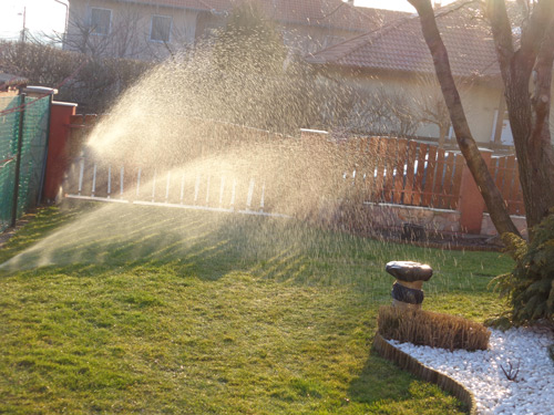 Meg&uacute;jult f&uuml;ves&iacute;tett kert