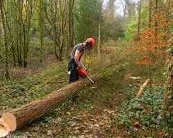 Fakiv&aacute;g&aacute;s