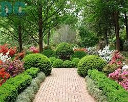 Kert&eacute;p&iacute;t&eacute;s tapasztalattal